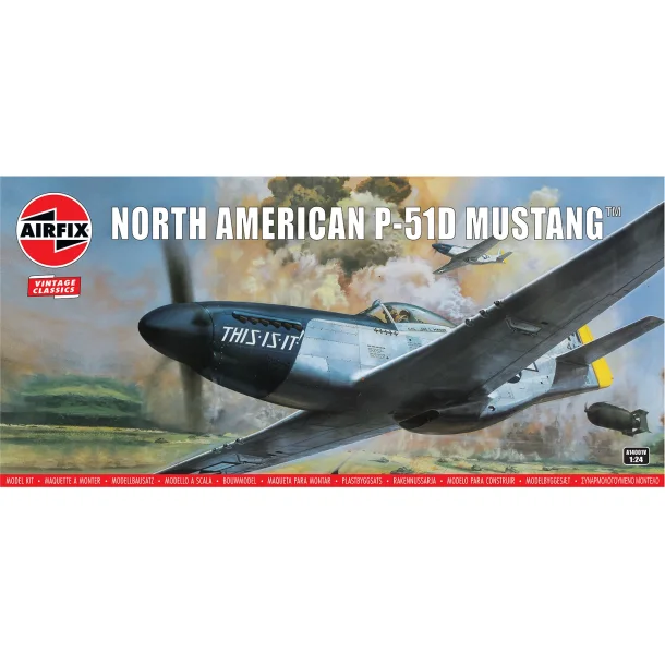 North American P-51D Mustang, skala 1/24