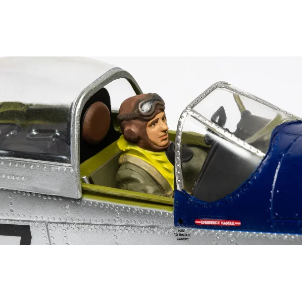 North American P-51D Mustang, skala 1/24