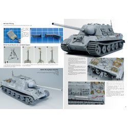 Joaqu�n Garc�a G�zquez: Tigers To Scale