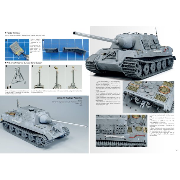 Joaqu�n Garc�a G�zquez: Tigers To Scale