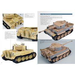 Joaqu�n Garc�a G�zquez: Tigers To Scale