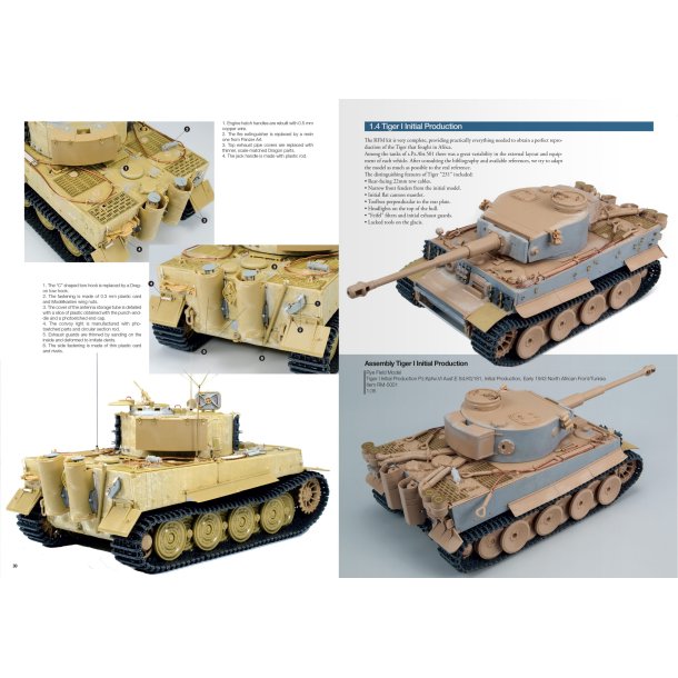 Joaqu�n Garc�a G�zquez: Tigers To Scale