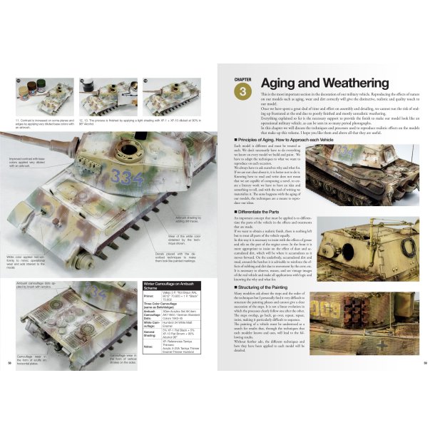 Joaqu�n Garc�a G�zquez: Tigers To Scale