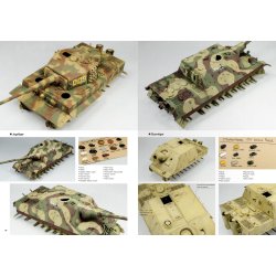 Joaqu�n Garc�a G�zquez: Tigers To Scale