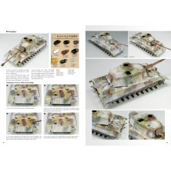 Joaqu�n Garc�a G�zquez: Tigers To Scale