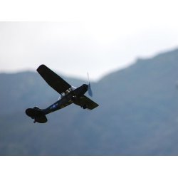 Cessna Bird Dog, skala 1/24