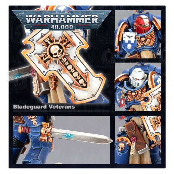 Space Marines: Bladeguard Veterans