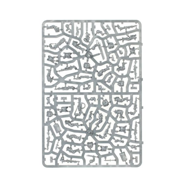 Astra Militarum: Cadian Shock Troops