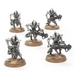 Necrons: Immortals