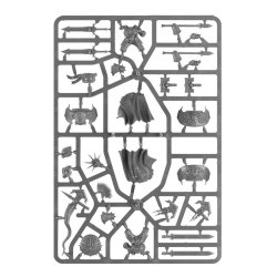 Stormcast Eternals: Dracothian Guard