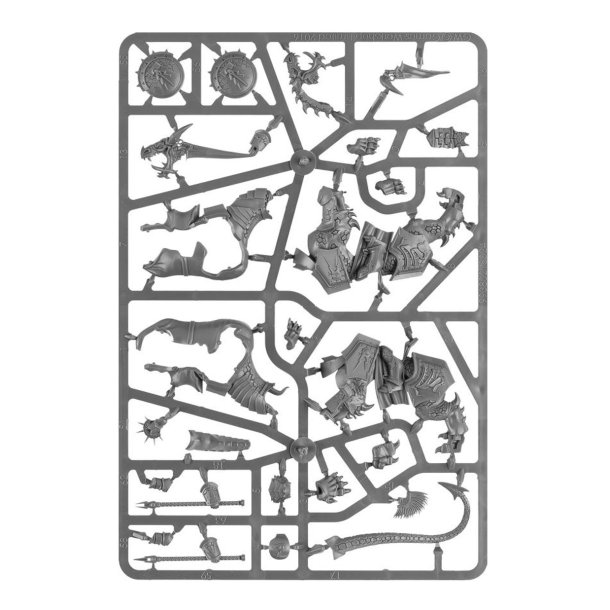 Stormcast Eternals: Dracothian Guard