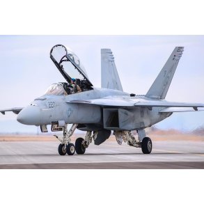 F/A-18F Super Hornet
