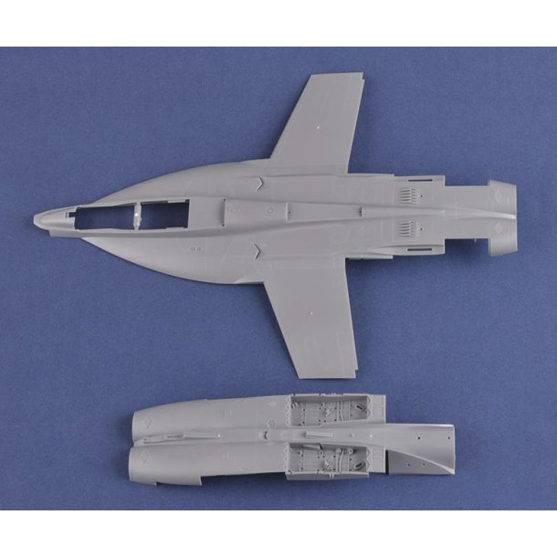 F/A-18F Super Hornet