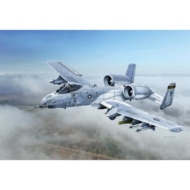 A-10C &acute;Blacksnakes&acute;