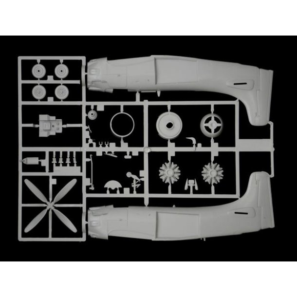Douglas AD-4W Skyraider