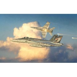 Boeing F/A-18 E Super Hornet