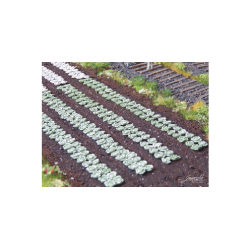 Gr�nne k�lplanter, 220 stk. Skala 1/87