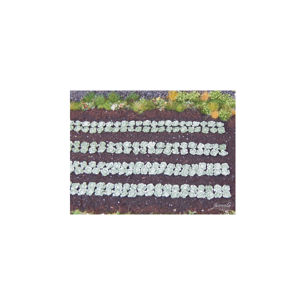 Gr�nne k�lplanter, 220 stk. Skala 1/87