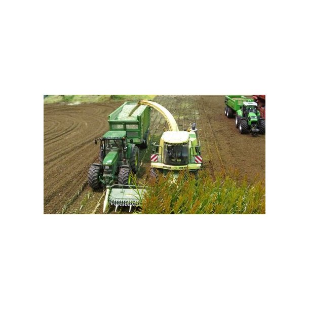 Majsplanter, grnne. 50 stk.