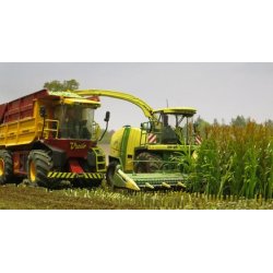 Majsplanter, grnne. 50 stk.