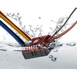 Quicrun WP1080 Brushed Crawler 80A