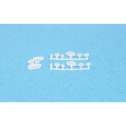 Svampe, 6 forskellige typer