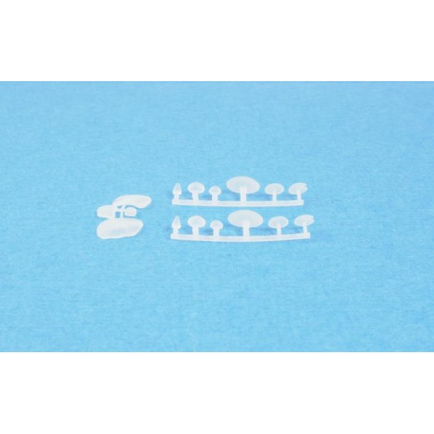 Svampe, 6 forskellige typer