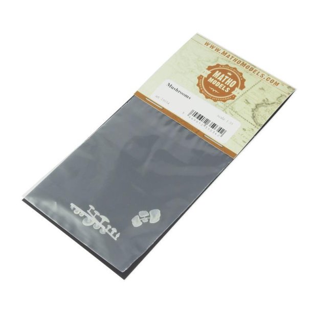 Svampe, 6 forskellige typer