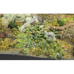 Planter og ukrudt, fototset. Type B