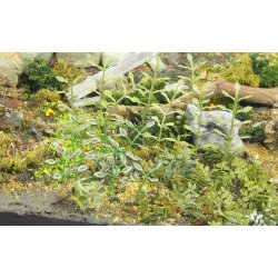 Planter og ukrudt, fototset. Type B