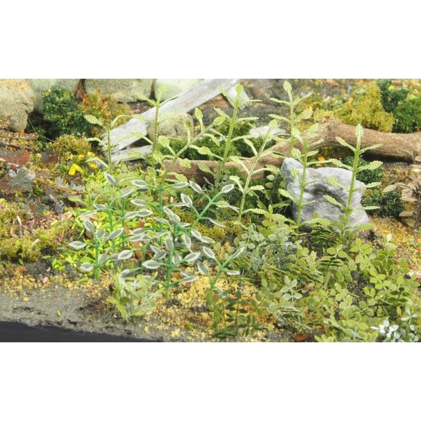 Planter og ukrudt, fototset. Type B