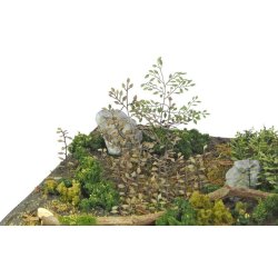 Planter og ukrudt, fototset. Type C