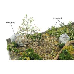 Planter og ukrudt, fototset. Type C