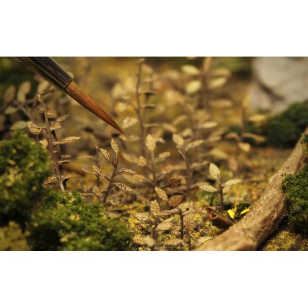 Planter og ukrudt, fototset. Type C