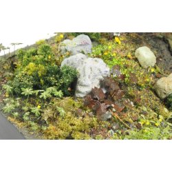 Planter og ukrudt, fototset. Type D