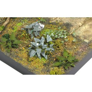 Planter og ukrudt, fotoætset. Type E