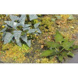 Planter og ukrudt, fototset. Type E