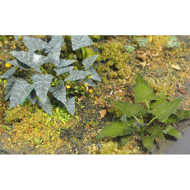 Planter og ukrudt, fototset. Type E