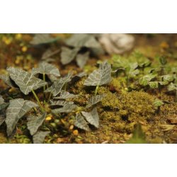 Planter og ukrudt, fototset. Type E