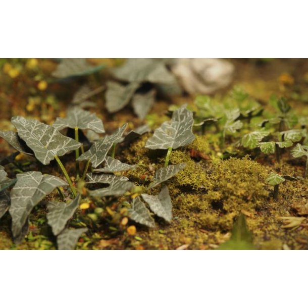 Planter og ukrudt, fototset. Type E