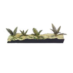 Jungleplanter, fototset. Type A