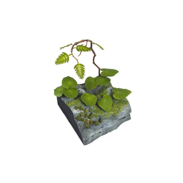 Jungleplanter, fototset. Type C