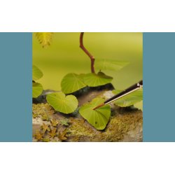 Jungleplanter, fototset. Type C