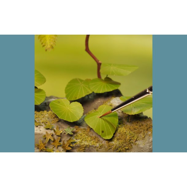 Jungleplanter, fototset. Type C