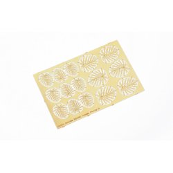 Jungleplanter, fototset. Type D