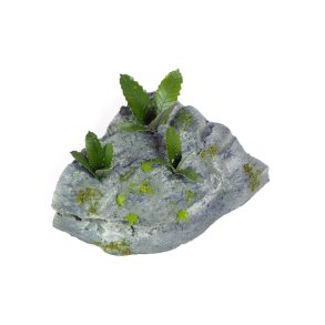 Jungleplanter, fotoætset. Type E