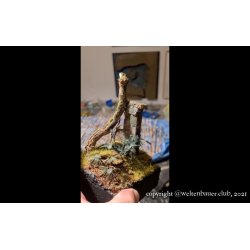 Jungleplanter, fototset. St 1