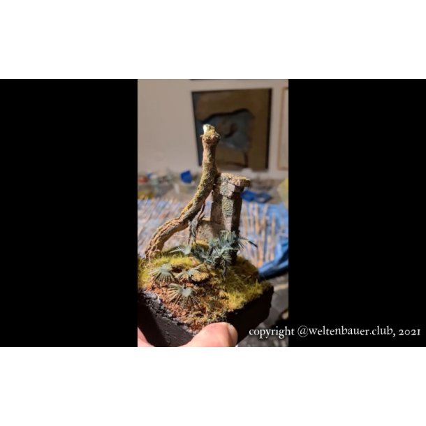 Jungleplanter, fototset. St 1