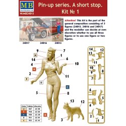 Pin-Up Series. A short Pitstop. Kit No. 1