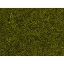 Strgrs - Vildtgrs - Eng, 50 gram